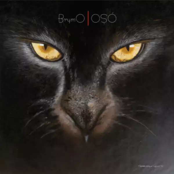 Brymo - Money Launderers and Heart Breakers